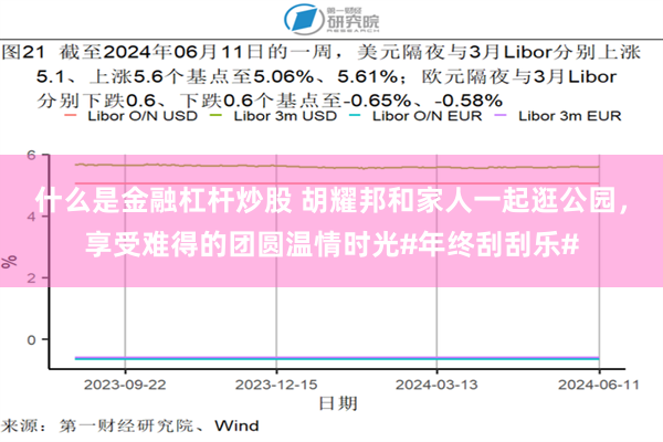 什么是金融杠杆炒股 胡耀邦和家人一起逛公园，享受难得的团圆温情时光#年终刮刮乐#