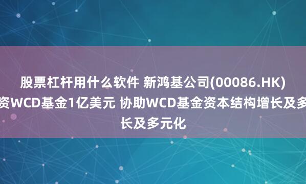 股票杠杆用什么软件 新鸿基公司(00086.HK)拟投资WCD基金1亿美元 协助WCD基金资本结构增长及多元化