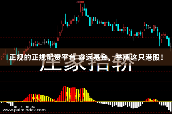 正规的正规配资平台 睿远基金，举牌这只港股！